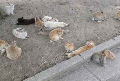 okunoshima05.jpg