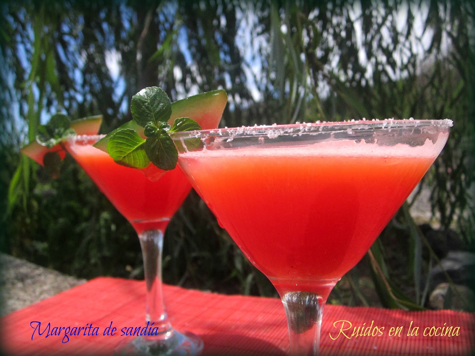 Ruidos en la cocina: Margarita de sandía