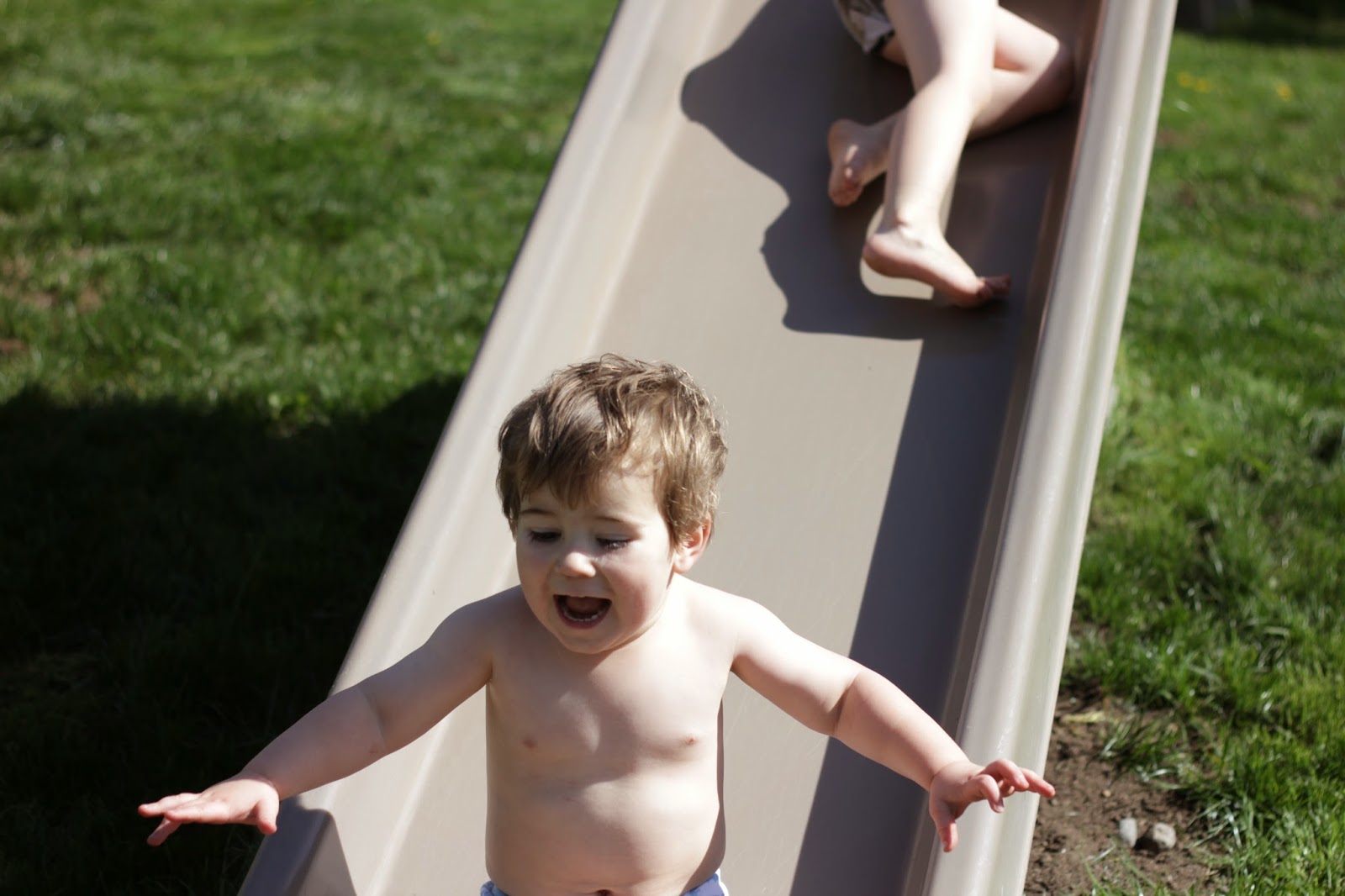 Penny's Bark March 2015