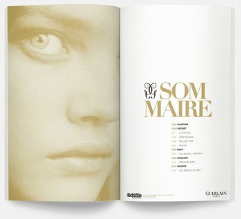 mathieu_delestre_lisaa