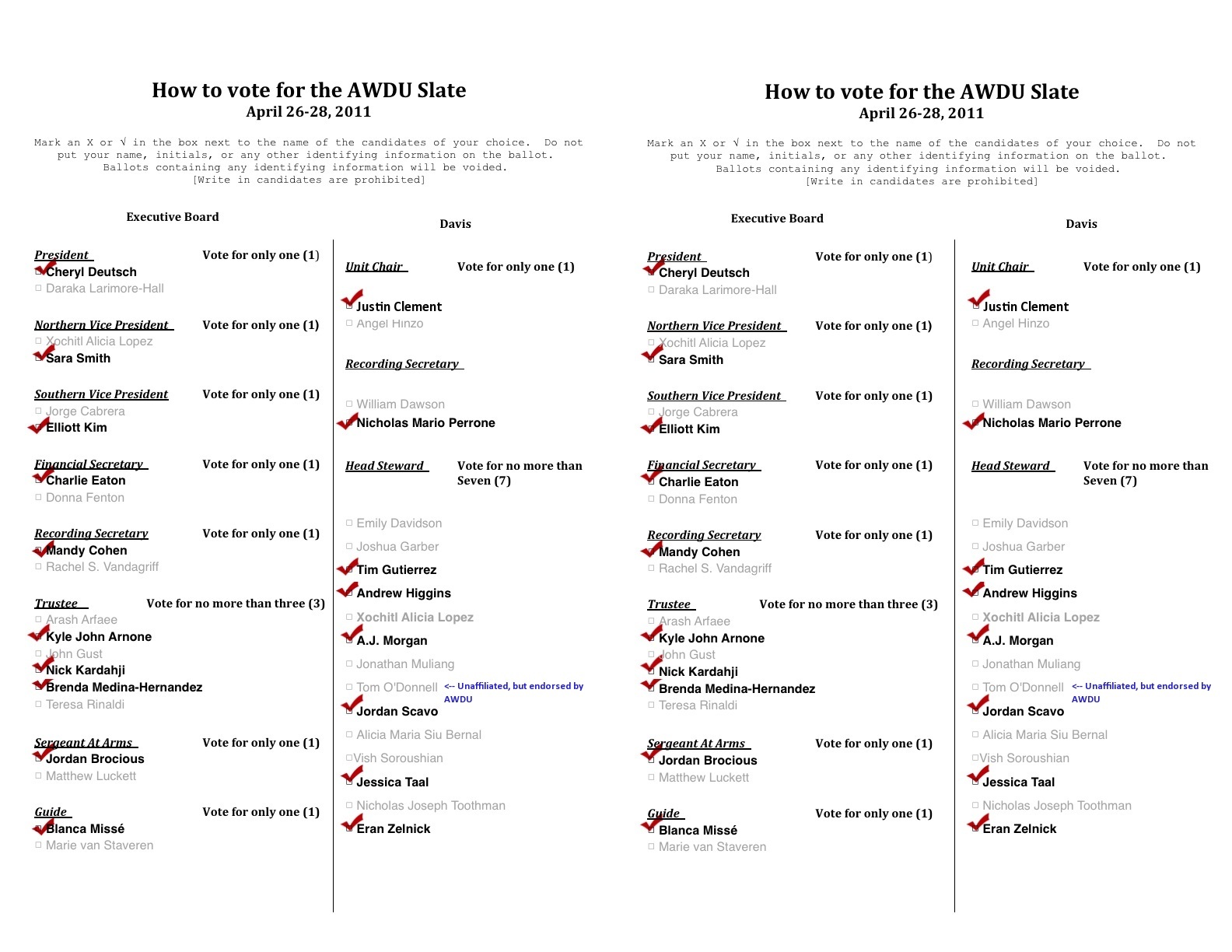 ballot entry template