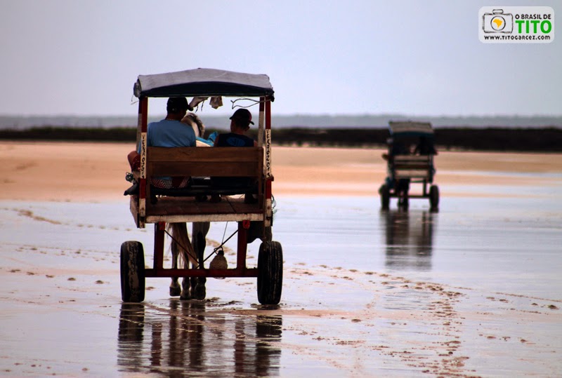 Charretes (carroças) na praia da Princesa, na Ilha de Maiandeua (Algodoal), no Pará - Por Tito Garcez Charretes (carroças) na praia da Princesa, na Ilha de Maiandeua (Algodoal), no Pará
