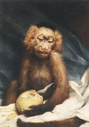 Cornelius albrecht dissertation
