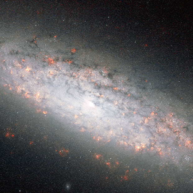 Hubble pictures NGC 6503, the Lost-In-Space Galaxy