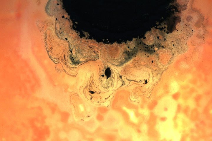 Bacteria Painting