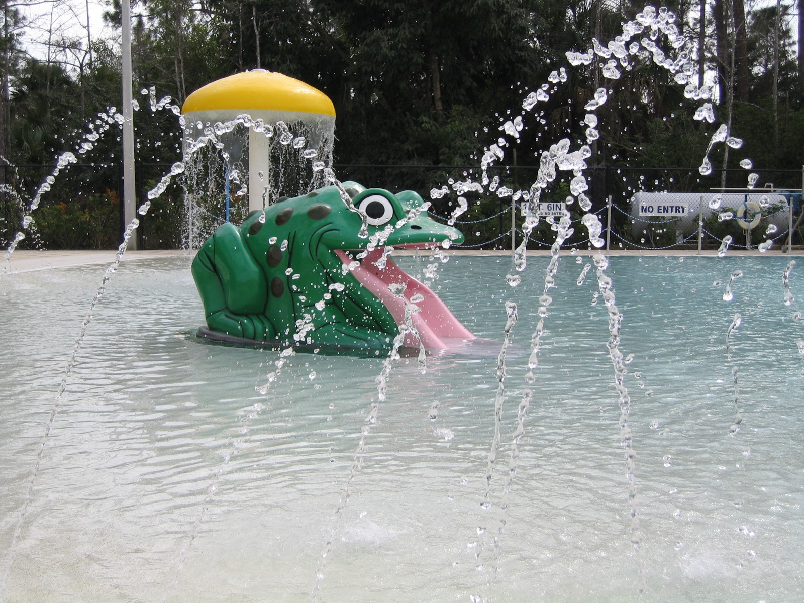 YMCA's Across the Country Bonita Springs YMCA YMCA of the Palms