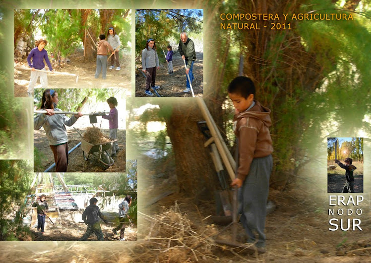 Agricultura Natural : Aprendiendo con Masanabu Fukuoka