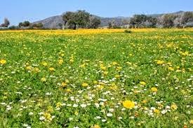 Οι εποχές επηρεάζουν το ανοσοποιητικό σύστημα oi-epoxes-epireazoun-to-anopoiitiko-sistima