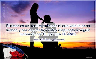 El amor es un sentimiento por el que vale la pena luchar. Cartas de amor,