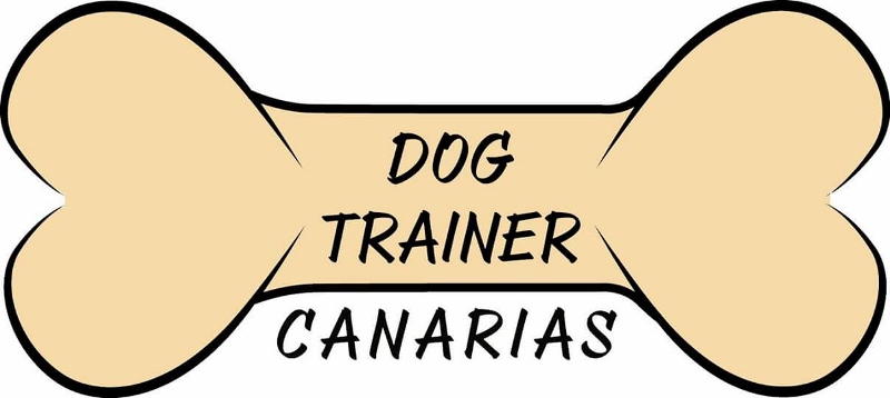 Dog Trainer Canarias VIRGINIA GALLEGO
