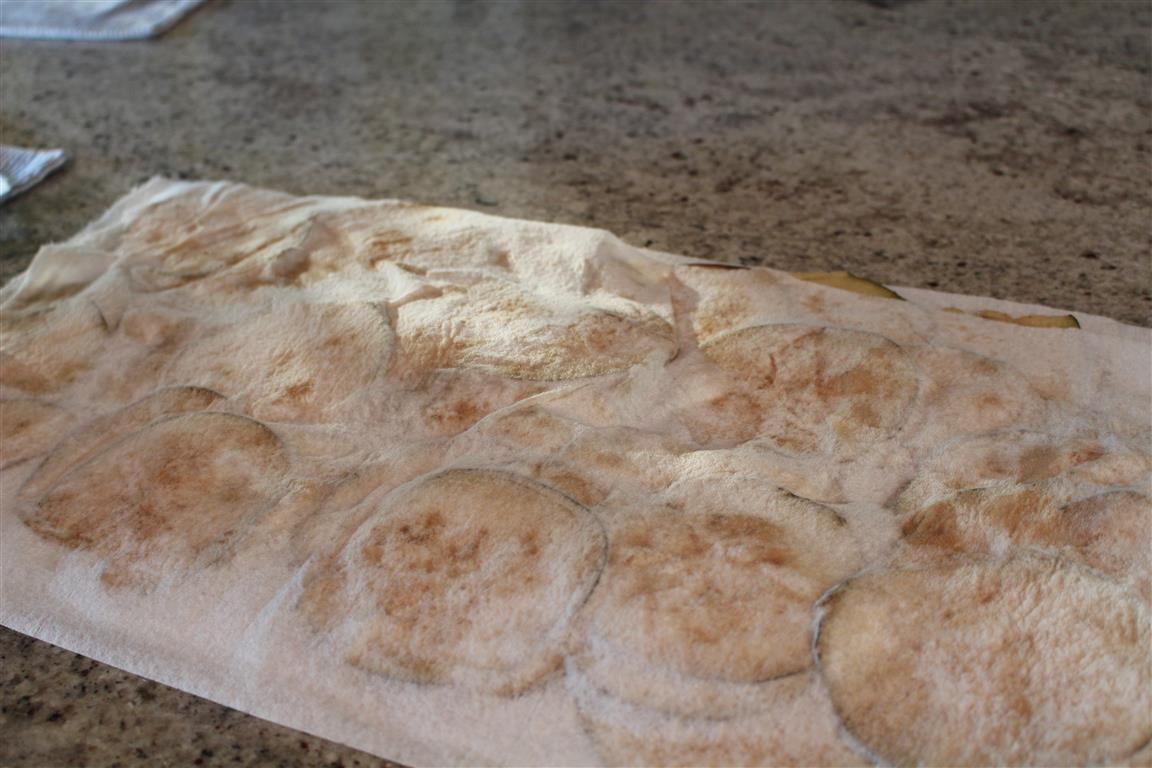 The Fiber of My Life Eggplant Bacon