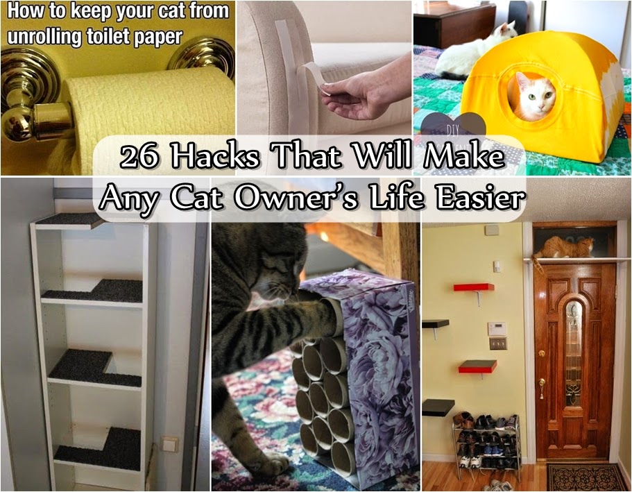 26 Hacks That Will Make Any Cat Owner’s Life Easier DIY Craft Projects