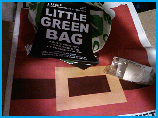 black friday little green bag