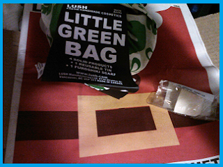 little green bag, recyclable catalog, and soap sample