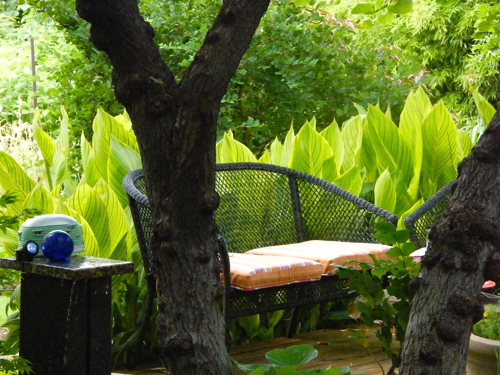 P O T A G E R Meadowbrook Acres Garden Tour