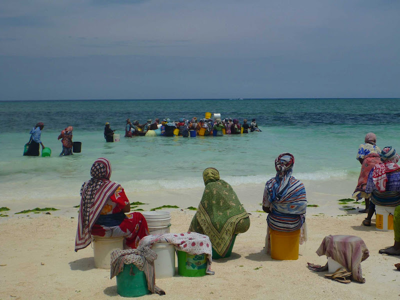 Living Free Range Travel Zanzibari Birthday at Kendwa Beach, Zanzibar