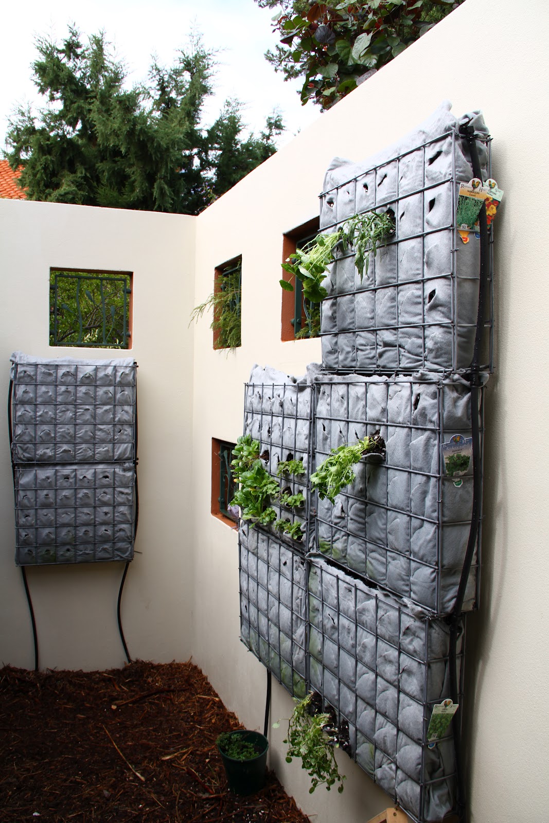 Frame This DIY Vertical Garden