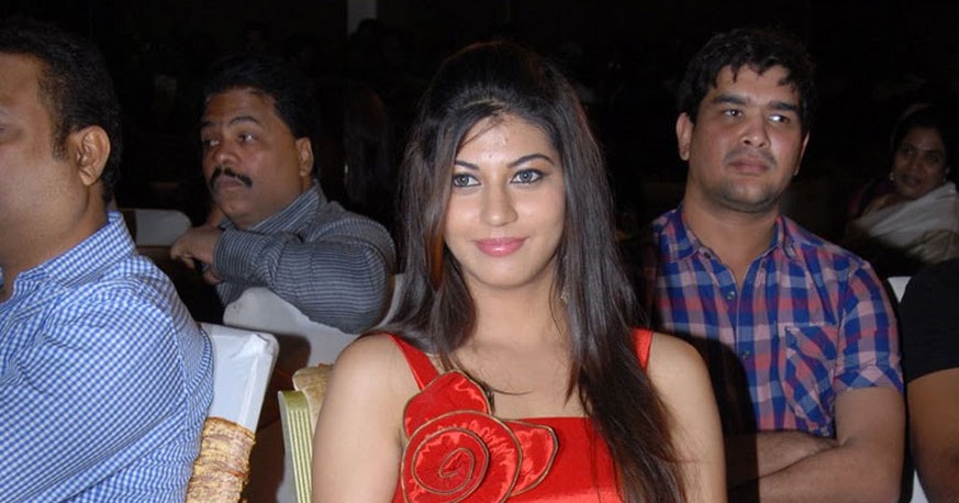 Saara Josh Hot Creamy Leg Anf Thigh Show In A Red Dress In Disco Audio Launch Images
