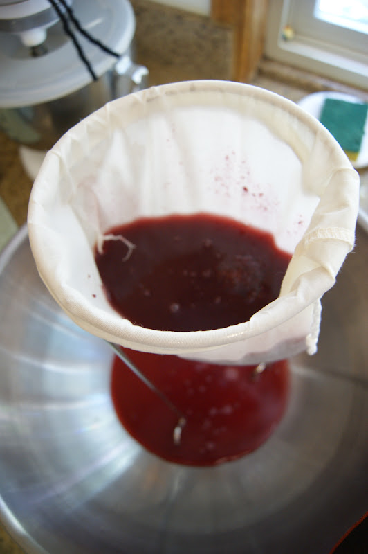 Canarella Jelly Strainer