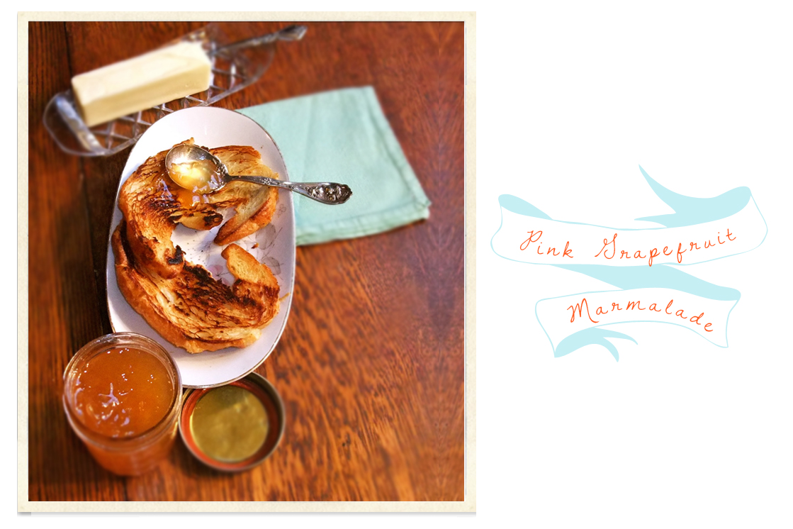 Preserved and Pickled PUTTING BY THE PERFECT 'POT' OF MARMALADE