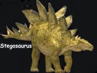Stegosaurus