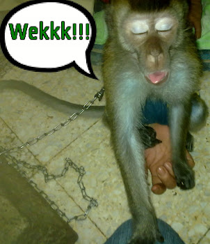 wekkk :p!!