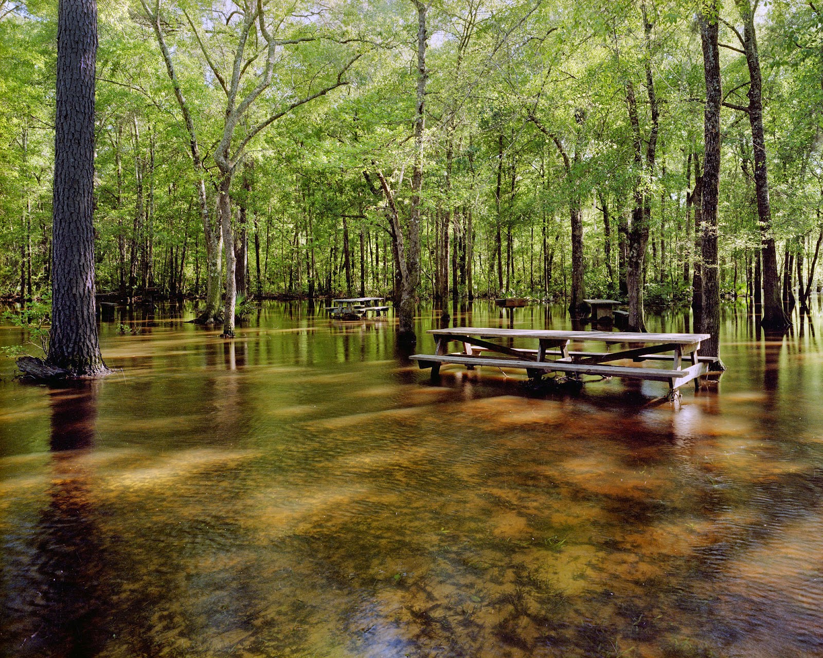 Withlacoochee River Water Level Valdosta at Greg Brown blog