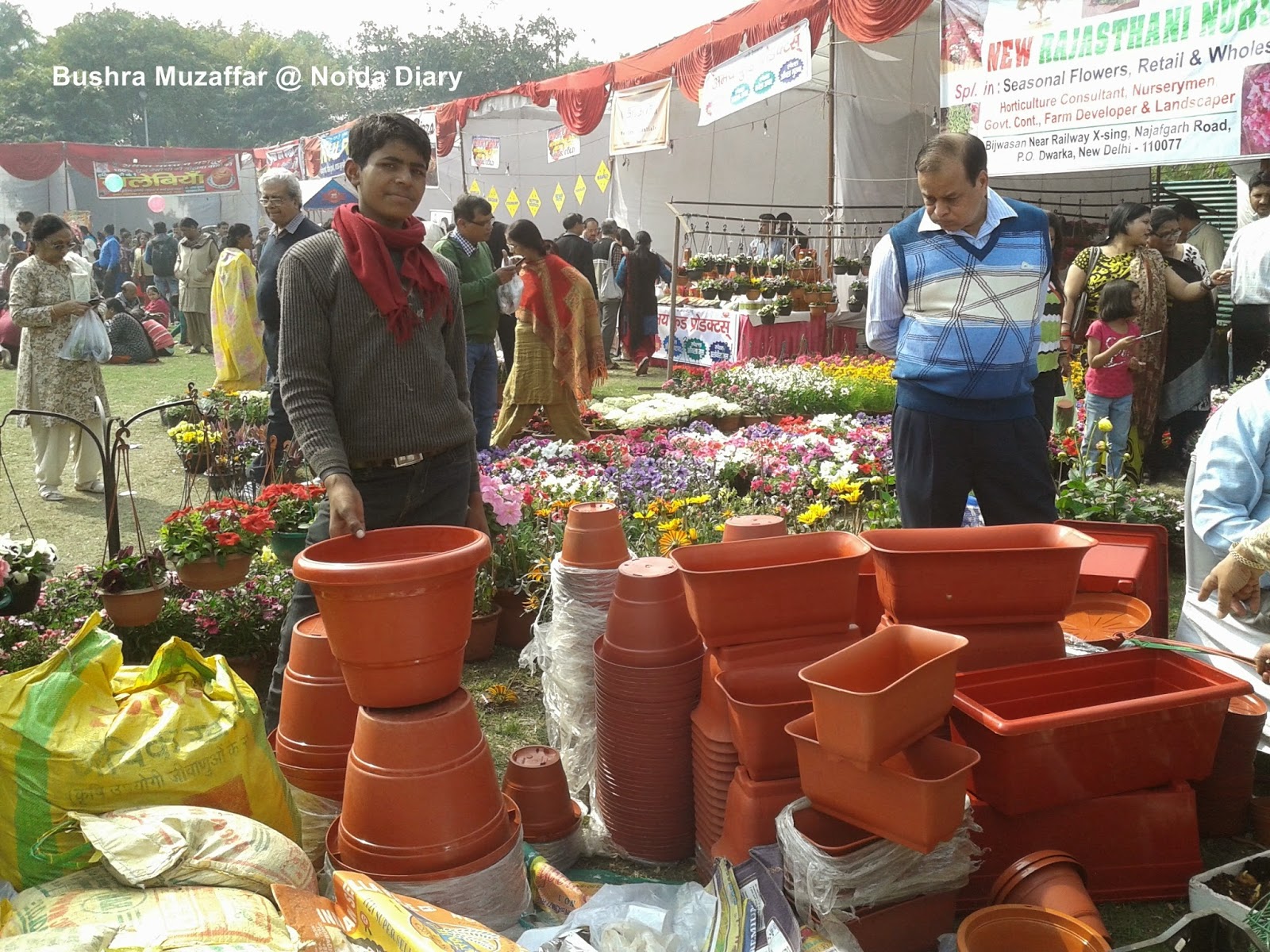Floriculture - Horticulture stalls at Noida Flower Show 2014