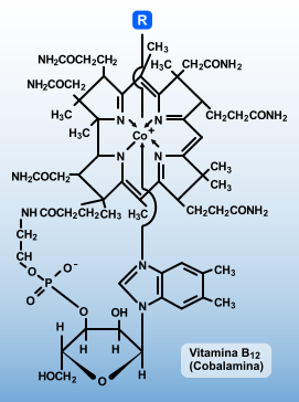 FORMILA QUIMICA VITAMINA B12 formila quimica vitamina b12: