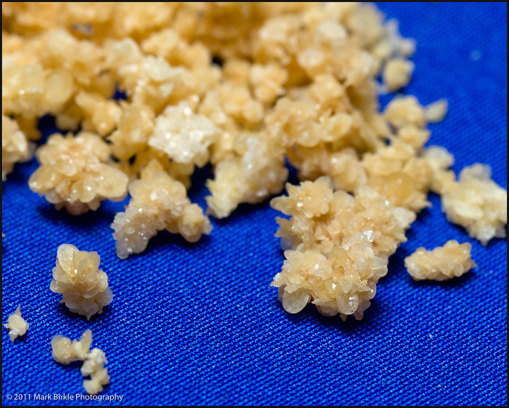 Bacchus and Venus Wines What The Heck Is Floating In My Wine?!