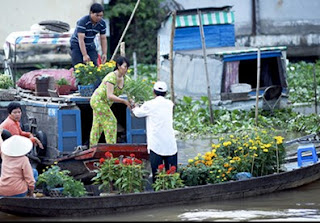 cảnh đẹp Việt Nam, canh dep Viet Nam cảnh đẹp Việt Nam, canh dep Viet Nam