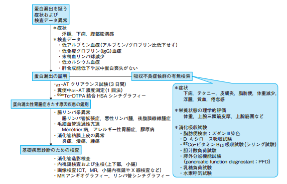 性 蛋白 症 漏出 胃腸