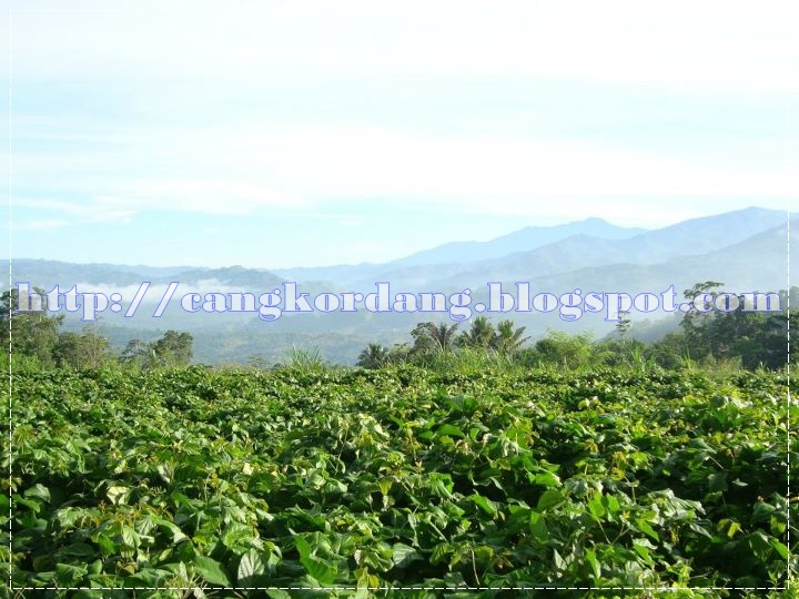 tetapi dibalik hal menarik di kbk dan tingginya gunung dia