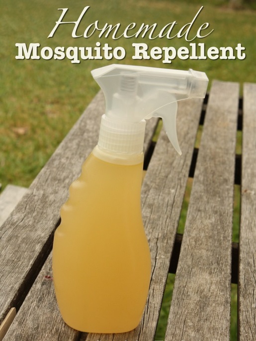 How to Make a Mosquito Spray 101 Gardening