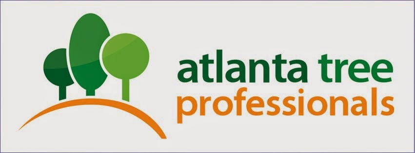 Atlanta Tree Professionals - Tree Removal Service