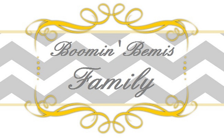 Boomin' Bemis Family