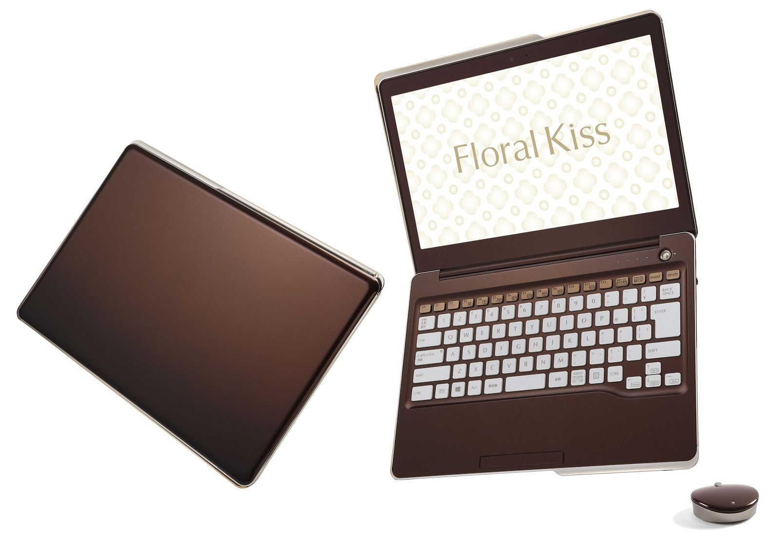 Fujitsu Floral Kiss, For Women Ultrabook, Intel Core i5, 500GB