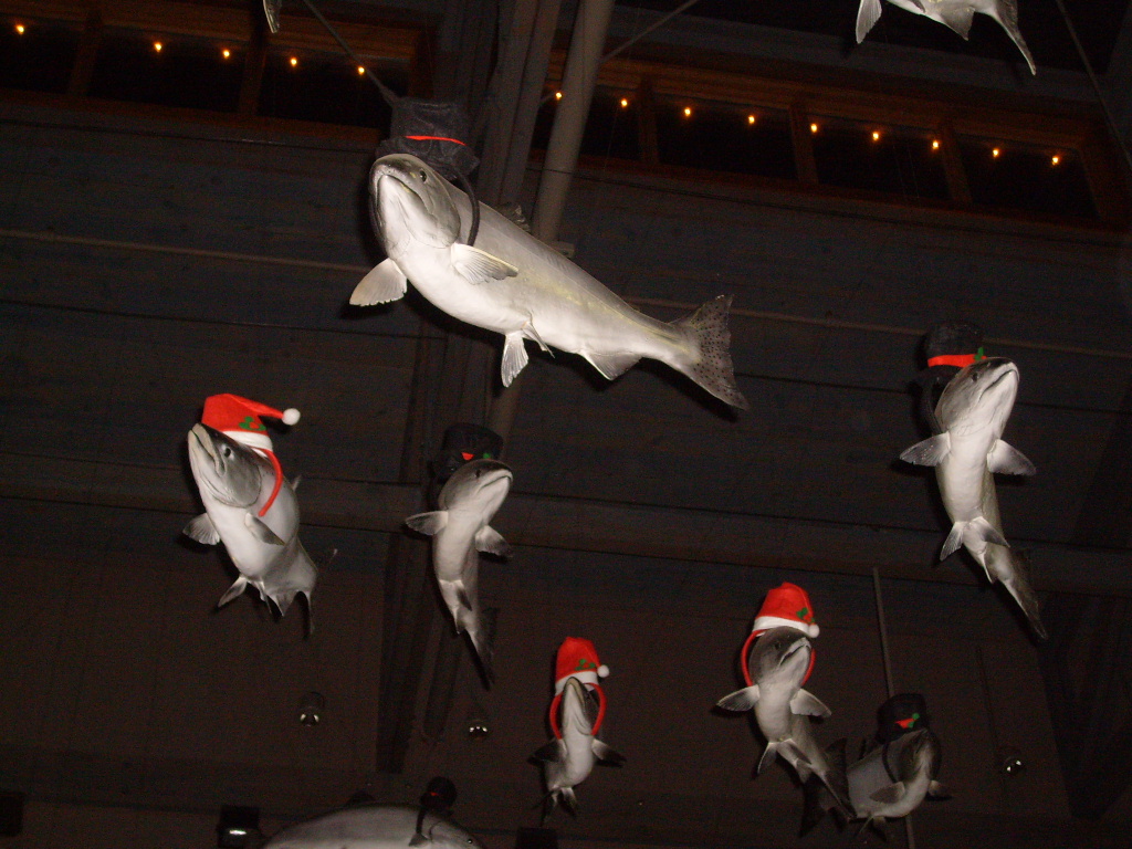 Casing Oregon Christmas at the Coast Newport's Sea of Lights