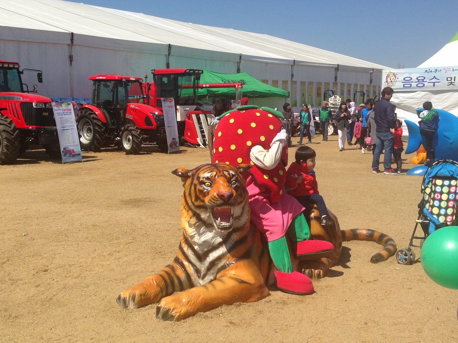 Kristen In Korea! Nonsan Strawberry Festival!