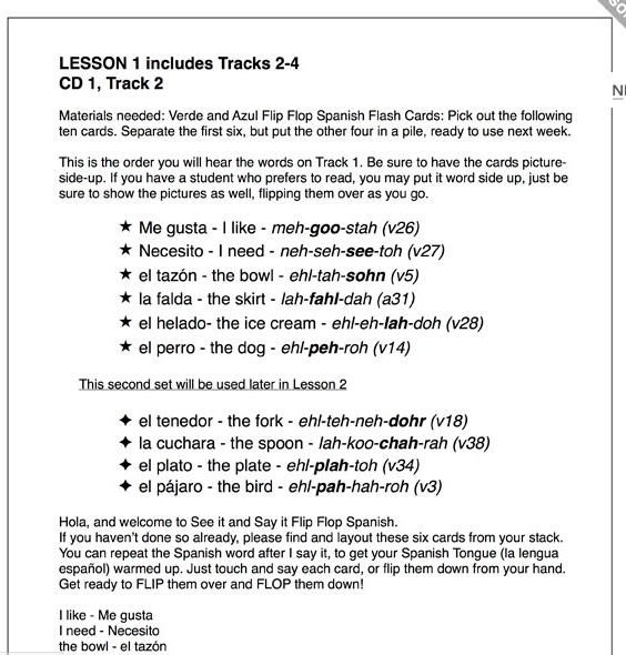 Krazy Kuehner Days See It and Say It Flip Flop Learning Spanish Review