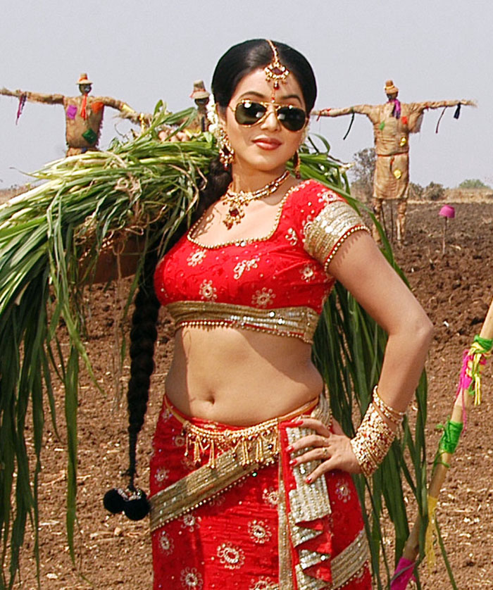 Hot South Actress Poorna Exposing Navel Stills | Pornstars Punishment