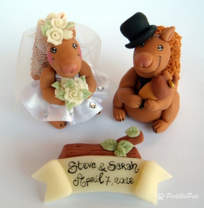 Branch And Amy Cake Topper Branch And Amy Cake Topper