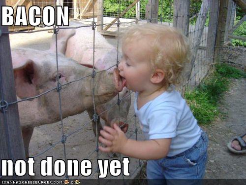 Funny kids - kid kissing pig funny wedding photos 14