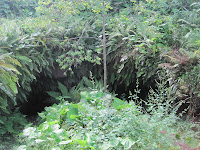 Cueva de Sucre Isabela Island, Galapagos