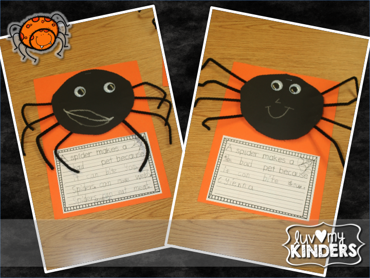 Spider essay for class 4 picture