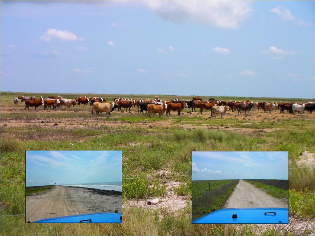 Baytown Bert's Blog Fun In The Sun Baytown Texas