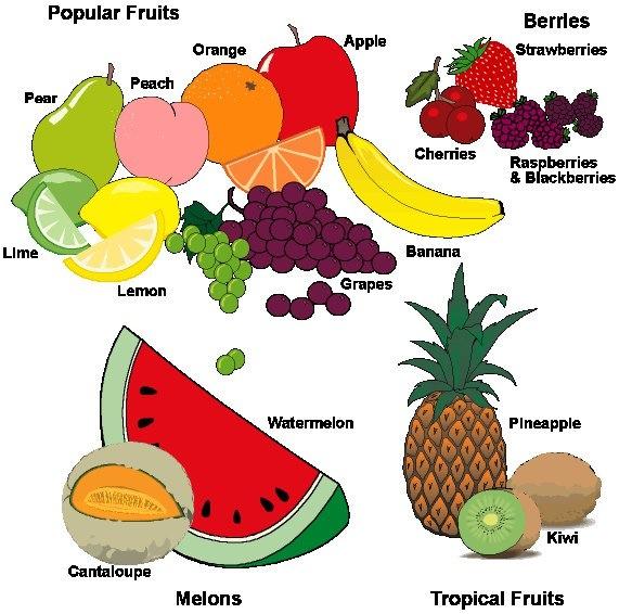 fruit and vegetables list in english Fruits and Vegetables Food Group Pyramid | 571 x 566