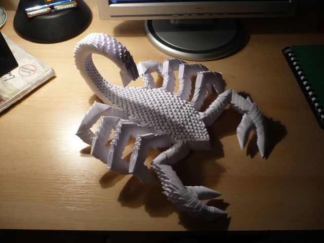 3d Origami For Beginners8