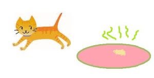 Reason Cats Urinate Outside Litter Box Reason Cats Urinate Outside Litter Box