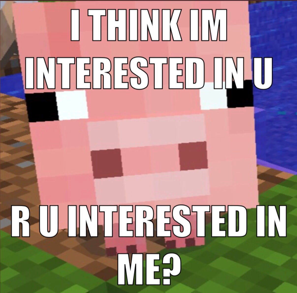 :3 minecraft piggy ^-^